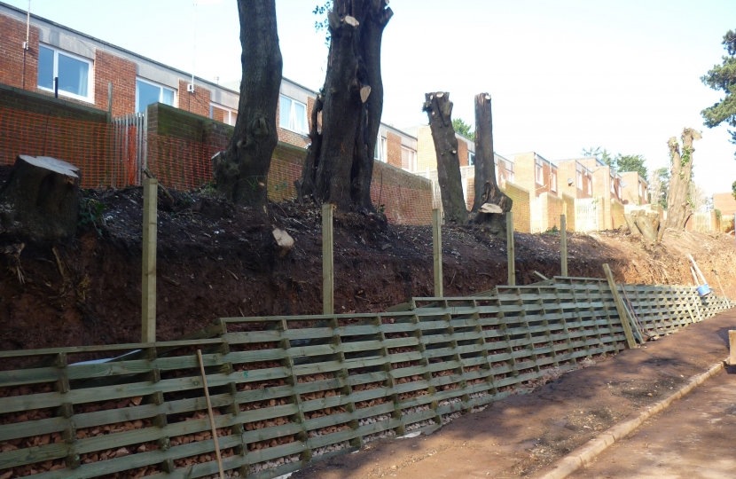 Peter Holland speaks about the trees in Stoke Hill