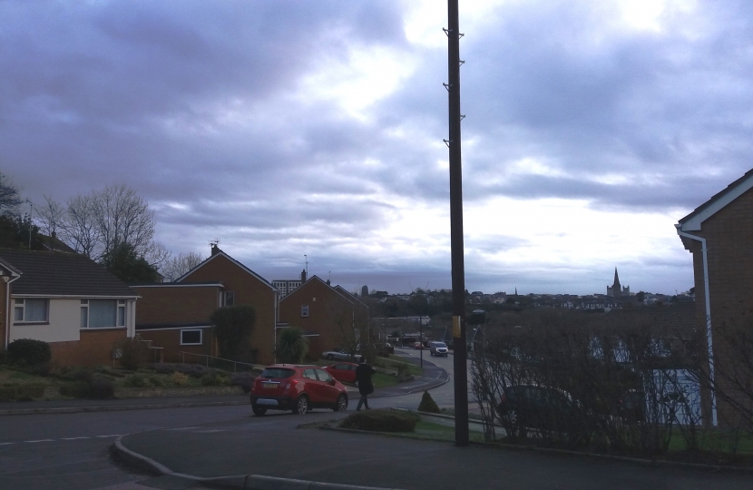 Openreaach poles at Winchester Avenue, Exwick