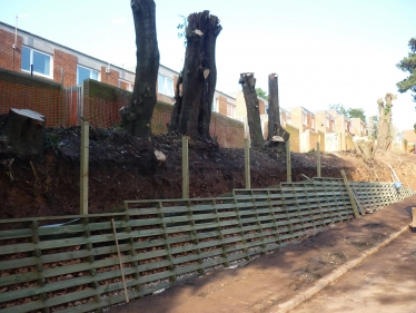 Peter Holland speaks about the trees in Stoke Hill