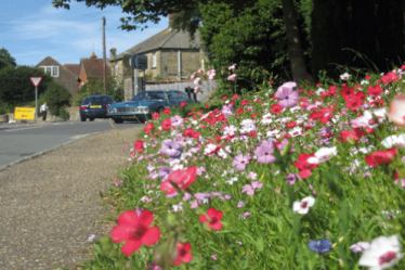 Stoke Hill In Touch Summer 2018